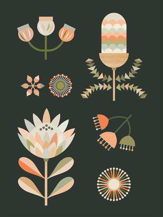 Image du produit Lyndy Hants Impression sur toile Australian Natives II (50 x 40 cm)
