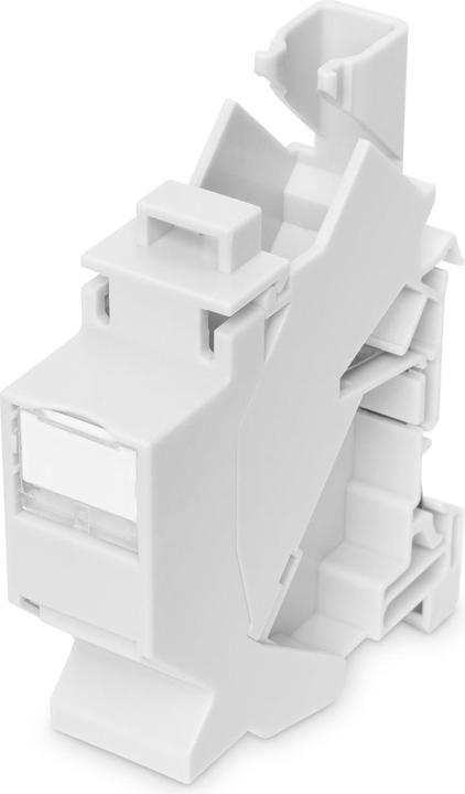 Digitus Adattatore guida DIN per moduli Keystone, IP20 (Supporto per modulo Keystone)