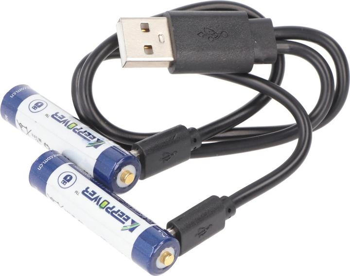 Actual product image Keeppower Rechargeable battery 2 AAA, Micro, AAA, LR03, with USB charging socket (2 pcs., AAA, 667 mAh)
