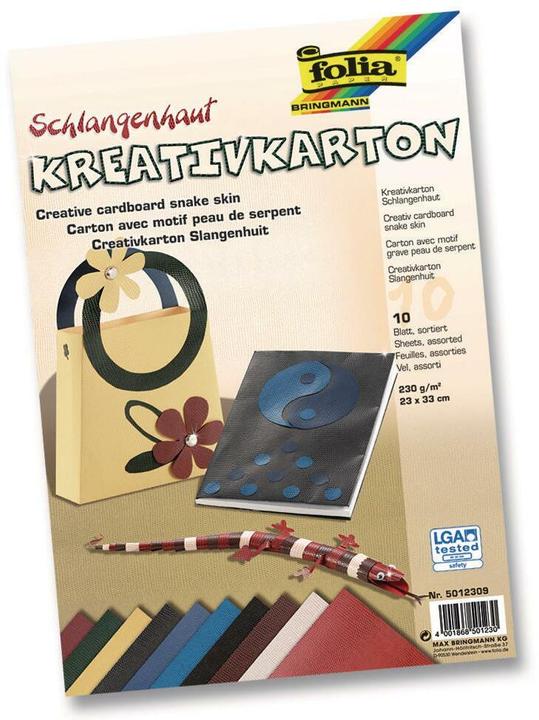 Image du produit Folia Carton créatif peau de serpent (230 g/m², 10 x)