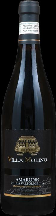Actual product image Villa Molino Amarone della Valpolicella DOC (1 x 75 cl, 2015)