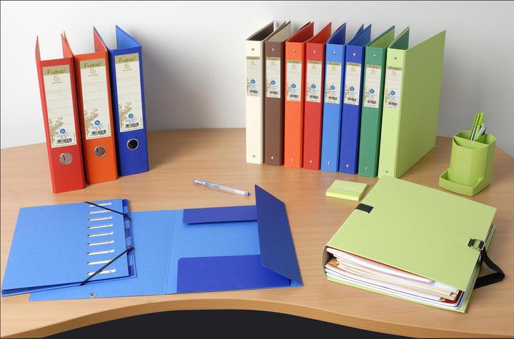 Actual product image Exacompta Folder (A4, 80 mm, 1 Piece)