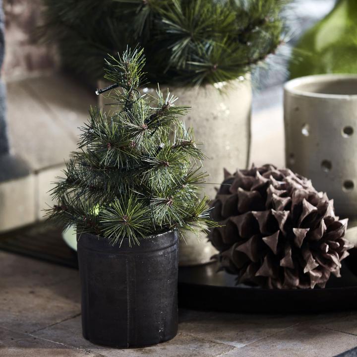 Actual product image House Doctor Pinus