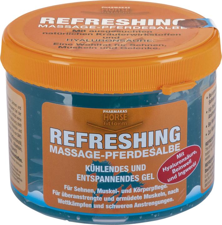 Image du produit Magni Gel rafraîchissant 500ml