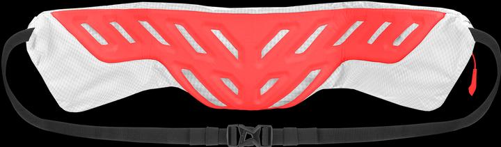 Produktbild Salewa Pedroc Hipbelt