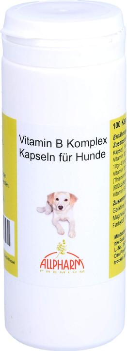 Actual product image Allpharm Vitamin B complex for dogs, 100 pcs KAP (Dog)