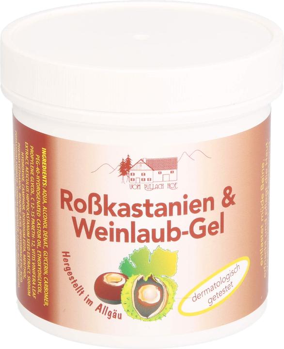 Immagine prodotto Axisis Pullach Hof Gel all'ippocastano e alle foglie di vite, 250 ml Gel (Gel corpo, 250 ml)