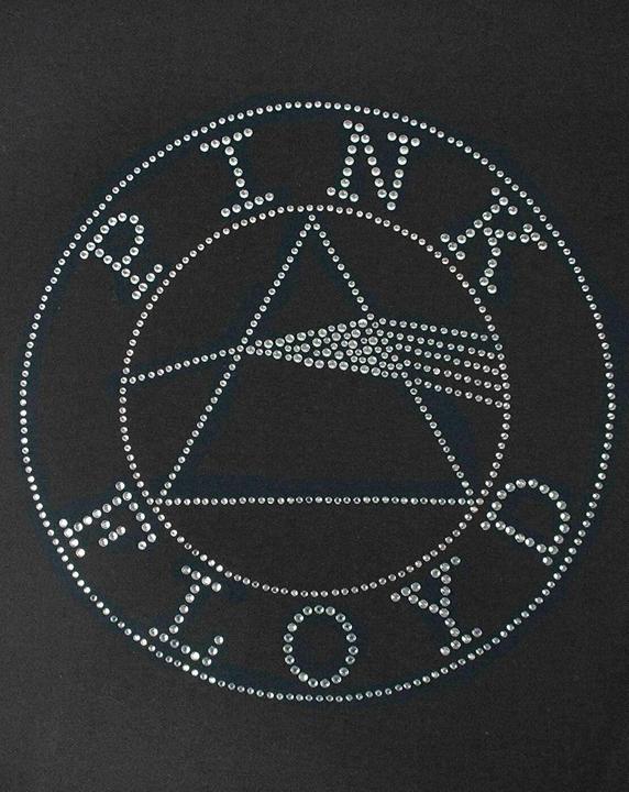 Actual product image Music Brand Dark Side Of The Moon Tshirt (XL)