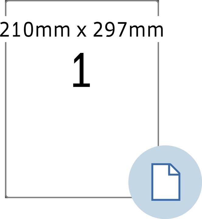 250 x