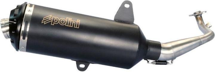 Polini Sym 125 Gts I Evo 2006>2007, Joymax 2006>2007 Homologue CE