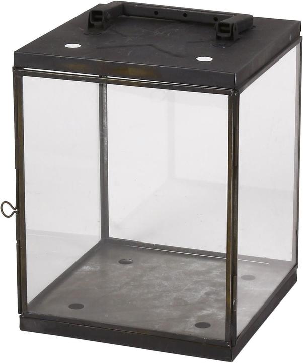 Jimsch Lucerna (1 x)