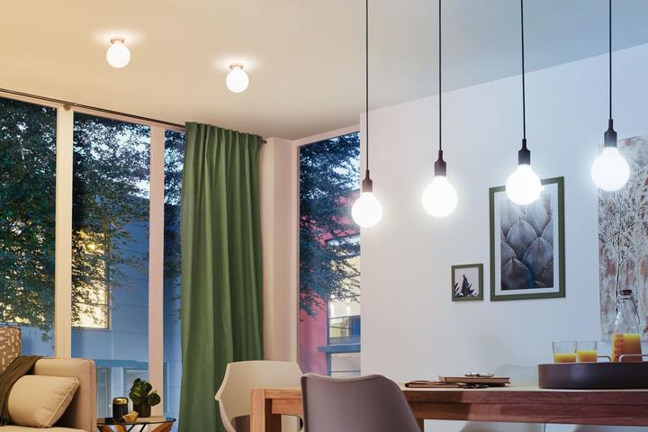 Actual product image Paulmann General Purpose Lamp Zigbee (E27, 9 W, 820 lm, 1 x, F)