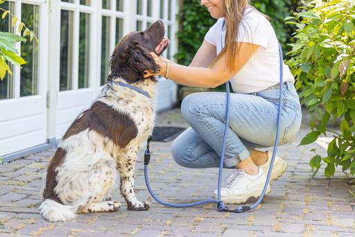 Productafbeelding Beeztees Parinca trainingsriem (Hond, Hondensport)