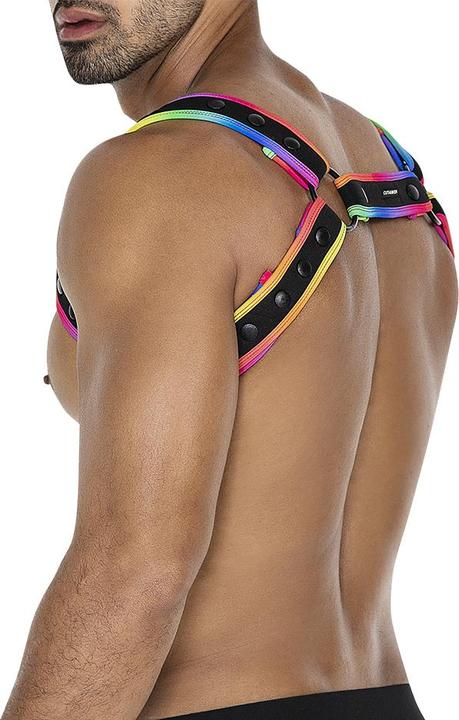 Produktbild Cut4men Body Harness in bunt (One Size)