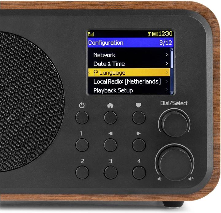 Image du produit Audizio Vicence (Webradio, DAB+ DAB, FM, Bluetooth, WiFi)