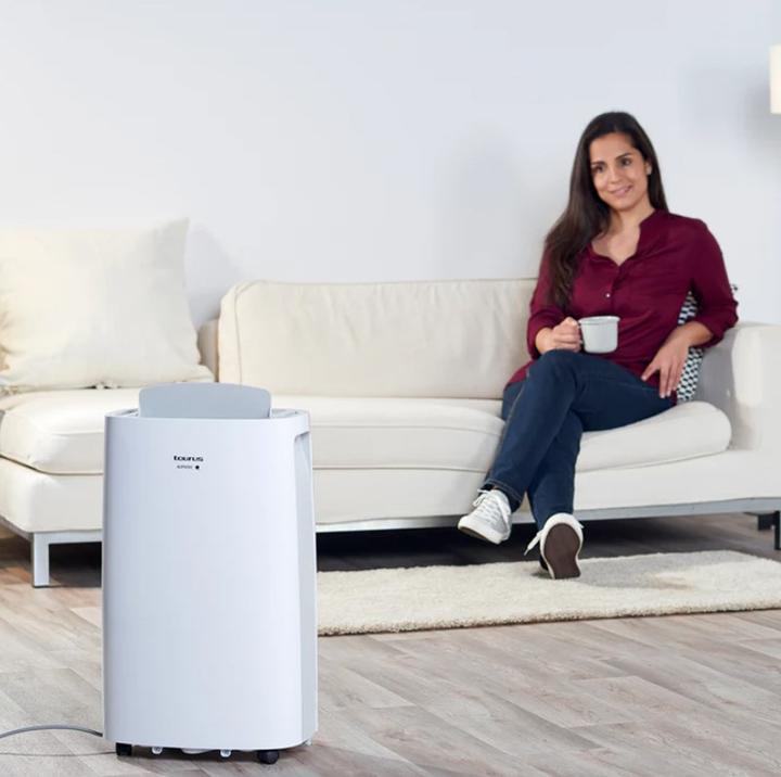Actual product image Taurus DH2201 (45 m², 21.60 l/24h)
