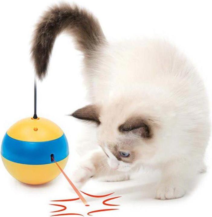 Actual product image Catit Tumbler Bee Laser Toy - (787.0022) (Catmint toy)