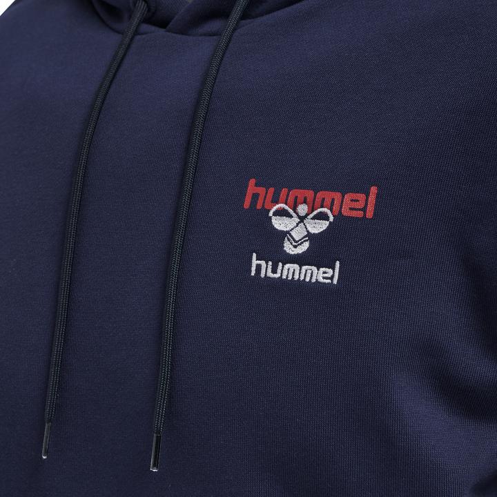 Actual product image hummel Ic Dayton Hoodie (XS)