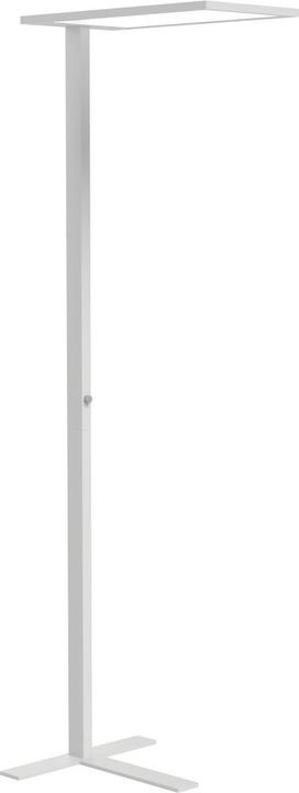 Actual product image ofinto Lumino (10000 lm)