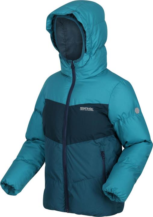 Image du produit Regatta Veste isolante Lofthouse Vi (104)