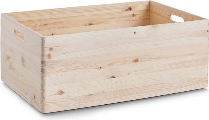 Actual product image HTI-Living All-purpose box (60 x 40 x 24 cm)
