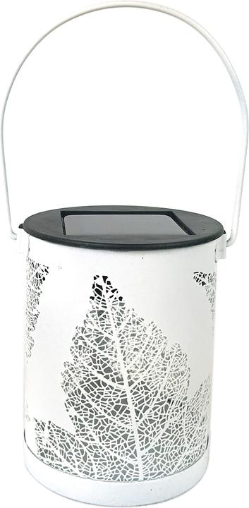 Immagine prodotto HTI-Living Lanterna solare a foglia (8 x 8 x 10 cm, 1 x)