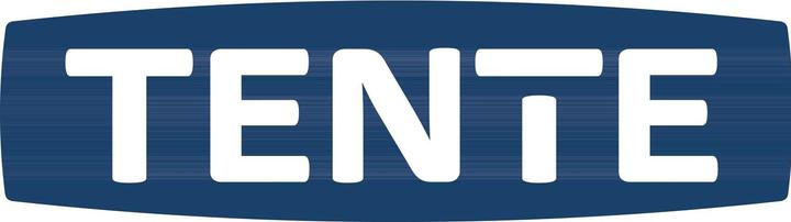 Actual product image Tente Swivel castor with total brakes 125 mm plate