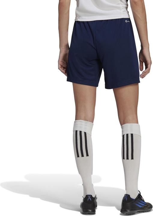 Actual product image adidas Ladies Shorts Entrada 22 Navy Blue HI0000 (XS) (XS)