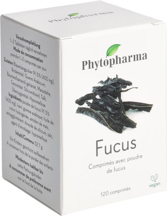 Phytopharma Blasentang Kapseln (120 Stück, Kapseln, 0.38 g)
