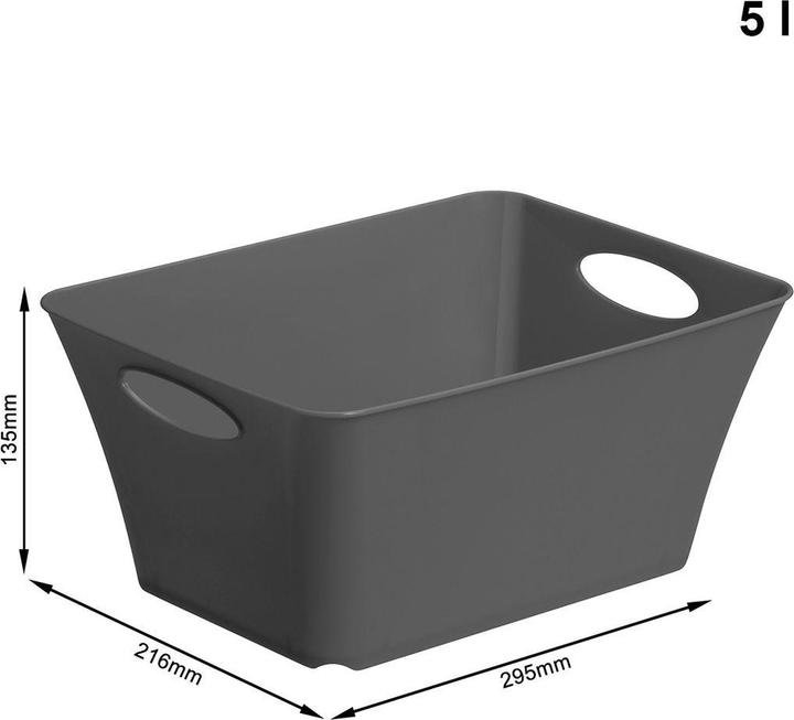 Actual product image Rotho Livingbox (21.6 x 13.5 x 29.5 cm, 5 l)