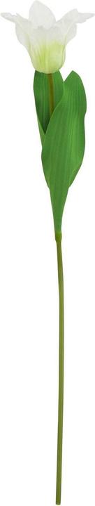 Immagine prodotto Hill Interiors The Natural Garden Collection Pappagallo Tulipano Fiore Artificiale (67 cm)