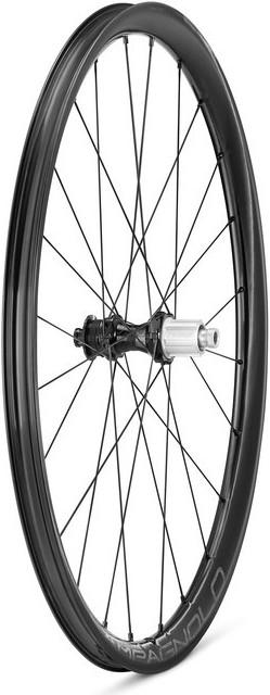 Campagnolo Levante 2-WayFit DB (Hinterrad)