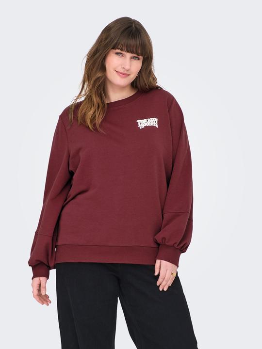 Produktbild Only CARKAVIRA Sweatshirt Sweatshirt (L)