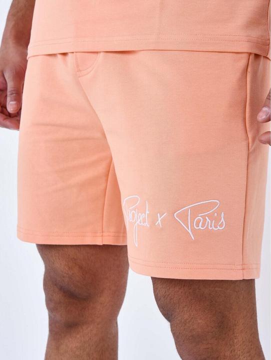 Image du produit Project X Paris short basique broderie logo (XL)