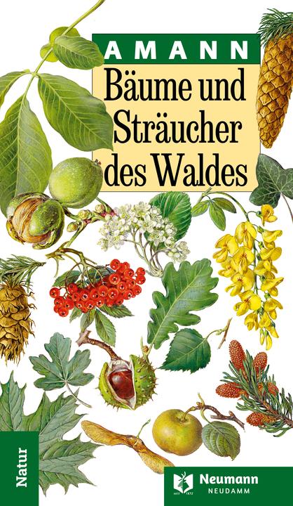 Actual product image Bume und Strucher des Waldes (German, Claudia, Amann, Gottfried(Prof.Dr.)/Summerer, 2024)