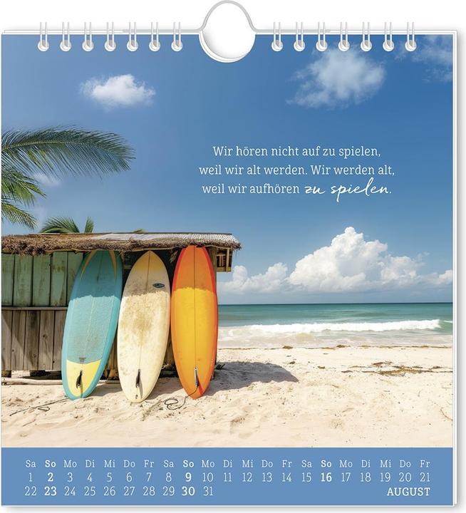 Actual product image Postkartenkalender 2026 Strandgut (16 x 17 cm, German)