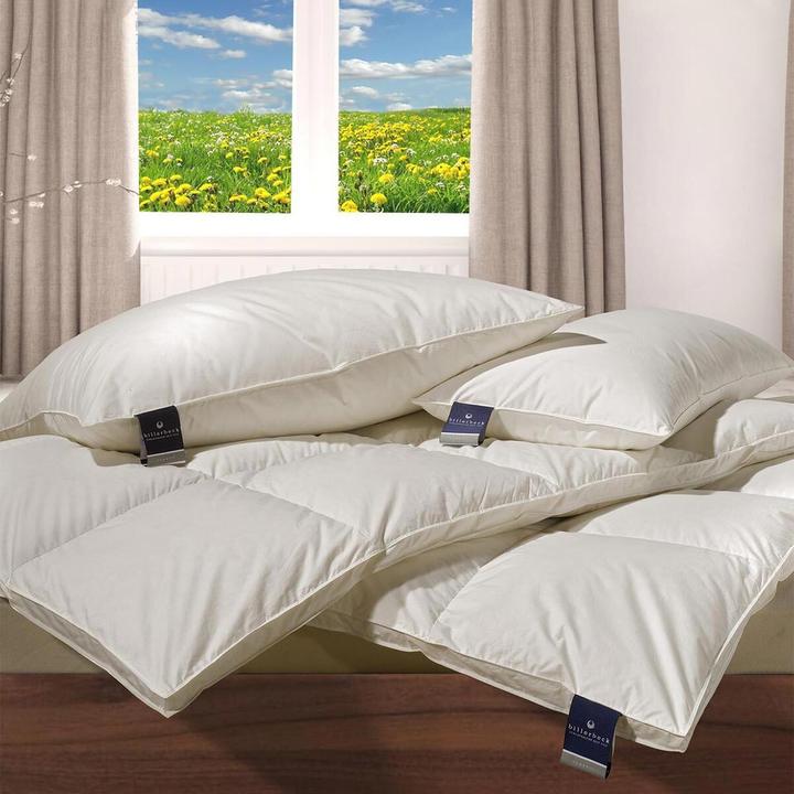 Actual product image Billerbeck Down duvet 306 Nena Mono medium, filling: 100% goose down (620 g, 140 x 220 cm)