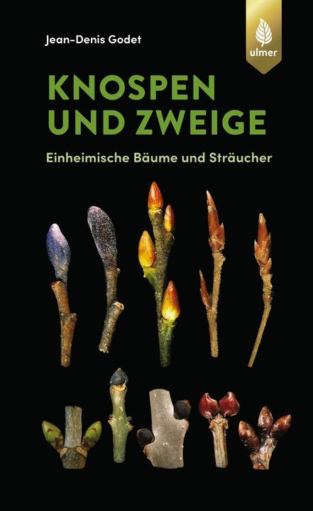 Produktbild Knospen und Zweige (Deutsch, Jean-Denis Godet, 2020)