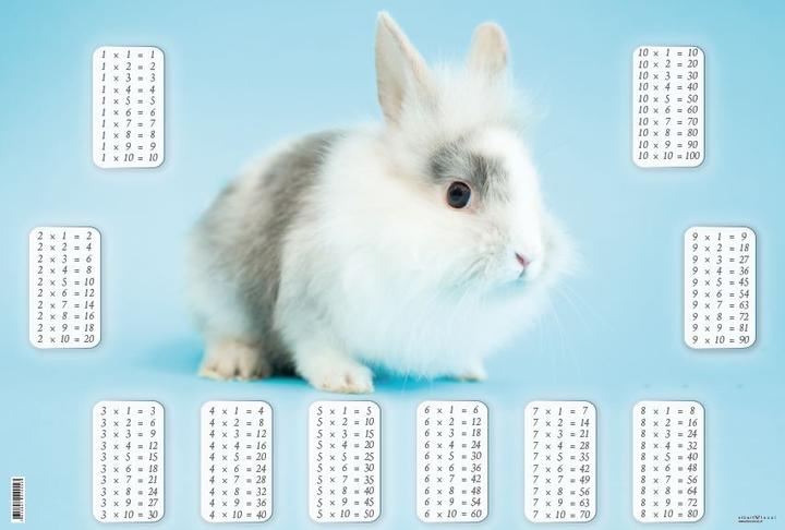 Actual product image Eibert Visual Bunny (40 x 60 cm)