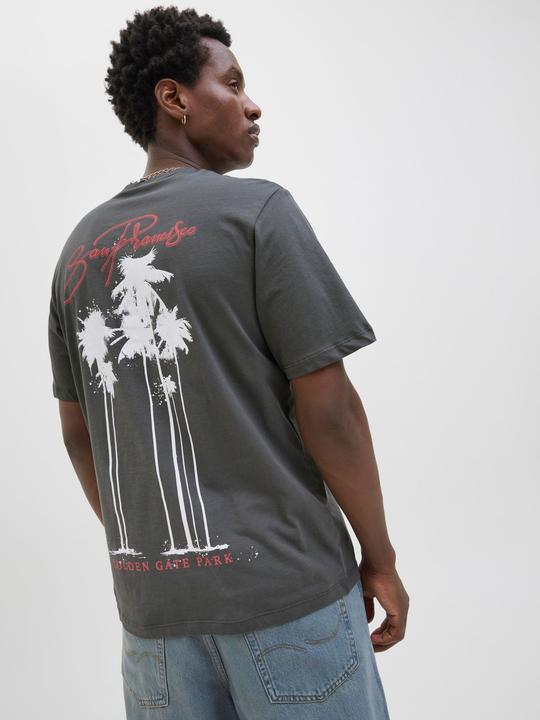 Produktbild Jack & Jones Jorbradley Goldengate Tee Ss C.N Stmss25 (XS)