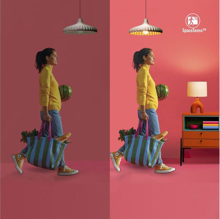 Actual product image WiZ Smart Plug Indoor