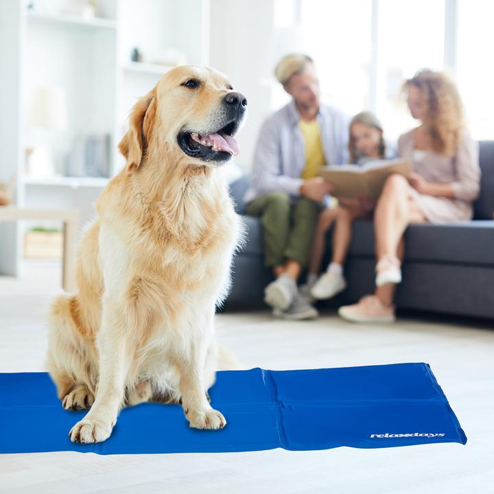 Produktbild Relaxdays Kühlmatte (Hund)