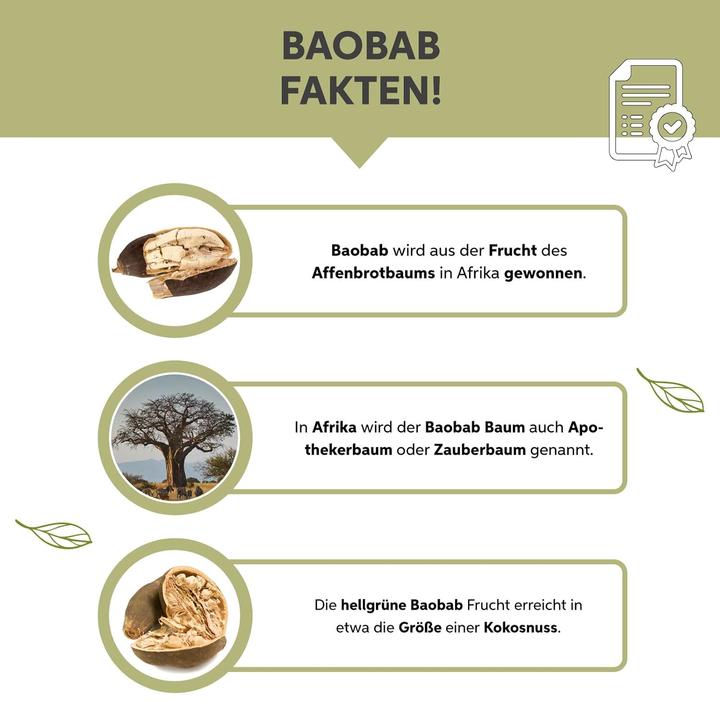 Image du produit Eltabia Poudre de baobab bio | Baobab moulu | Apothicaire qualité crudité (Poudre, 100 g)