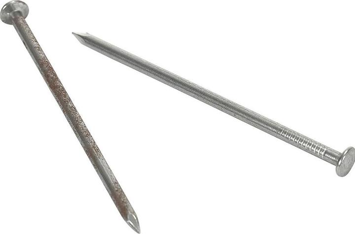 Produktbild Schweizerische Nagelfabrik Stifte mit Flachkopf (248 Stück, 100 mm)