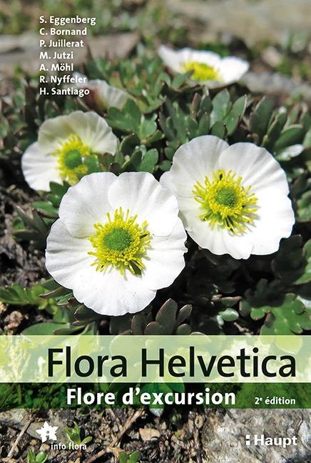 Actual product image Flora Helvetica - Flore d'excursion (French, Christophe Bornand, Reto Nyffeler, Stefan Eggenberg, Helder Santiago, Adrian Möhl, Michael Jutzi, Philippe Juillerat, 2022)
