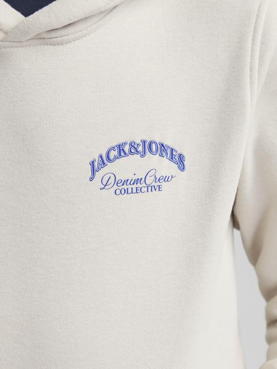 Produktbild Jack & Jones Jjebrandes Backp Relaxed Sweat H Sn Jnr (176)