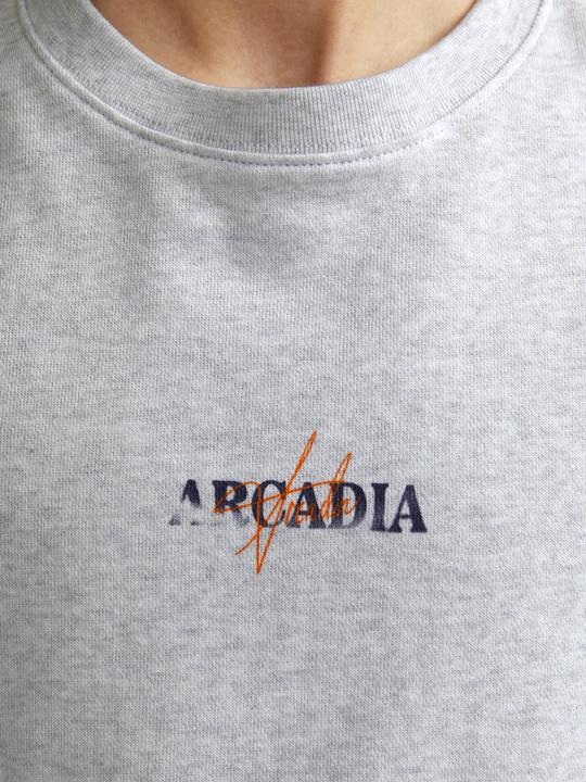 Produktbild Jack & Jones Jjecharge Graphic Sweat O-N Styd Aw24 Ln (XL)
