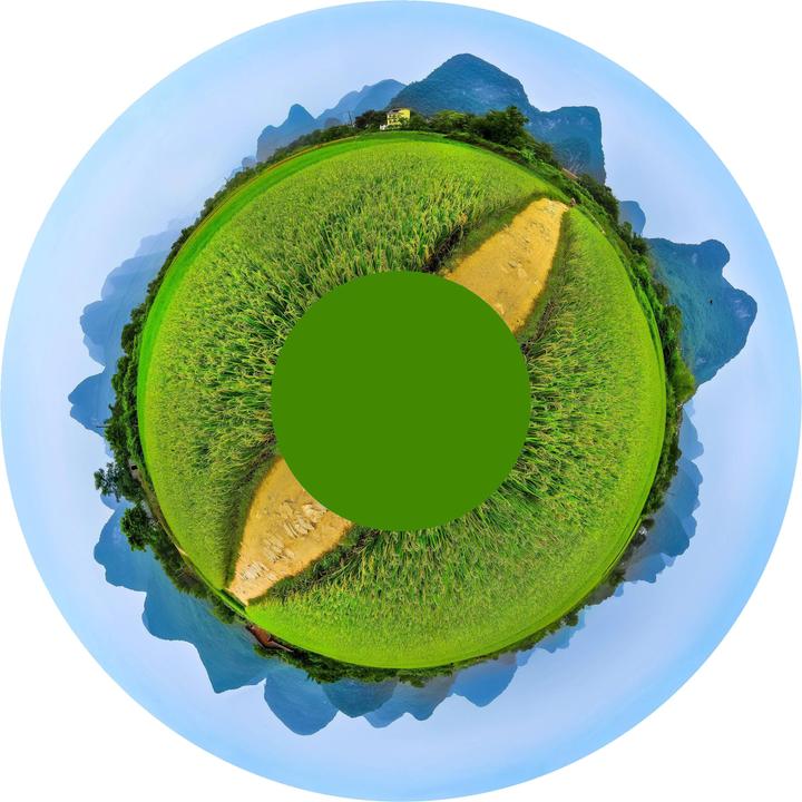 Actual product image Sport-Thieme Effect wheel