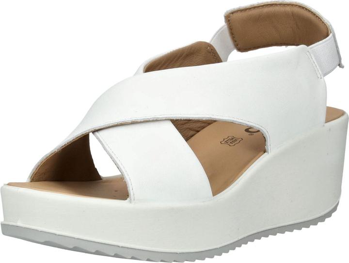 Bianco 44