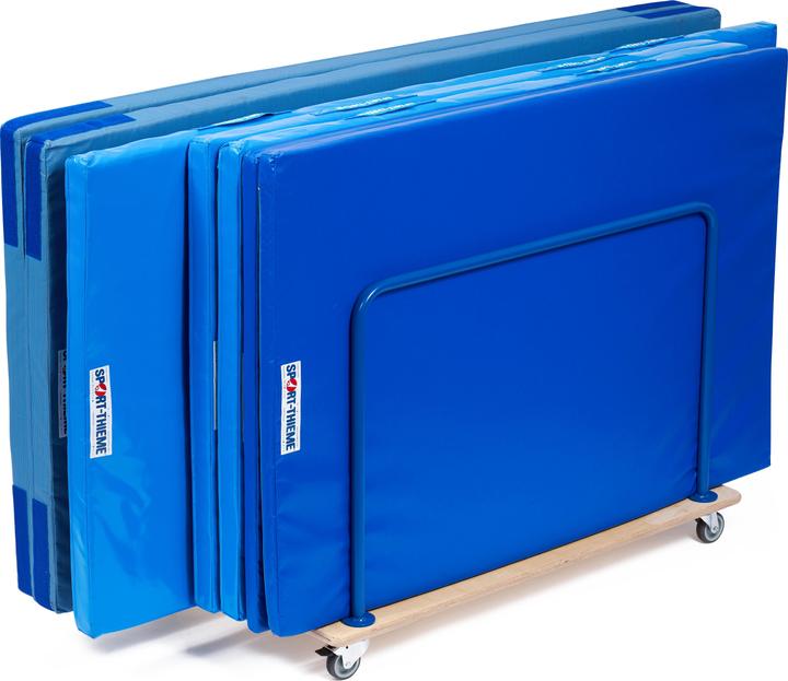 Sport-Thieme Transportwagen Mini